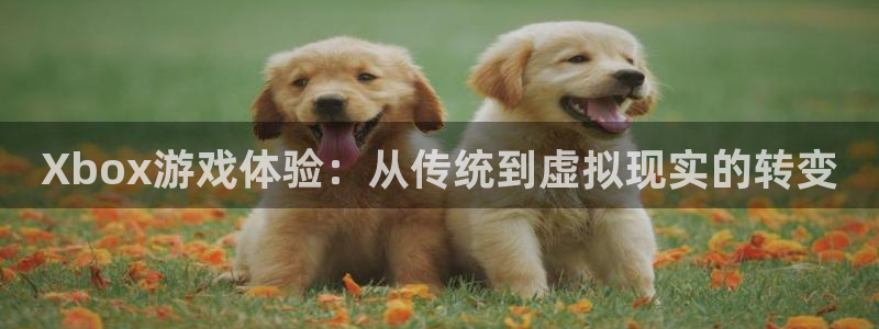 678体育官网：Xbox游戏体验：从传统到虚拟现实的转变
