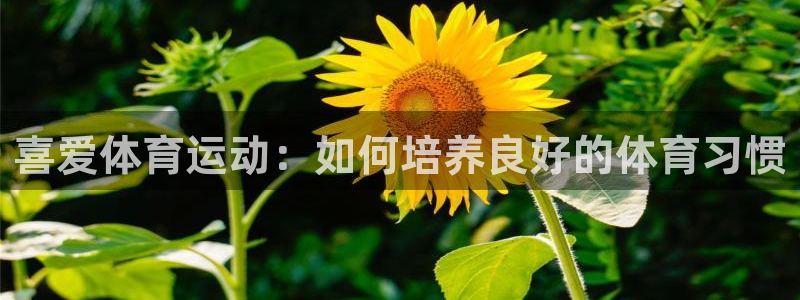 678体育官网地址：喜爱体育运动：如何培养良好的体育习惯