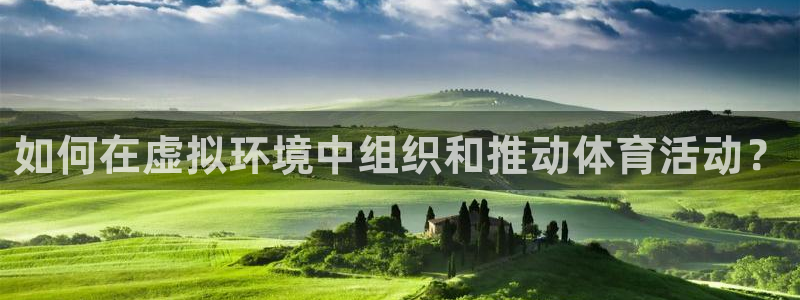 678体育官网下载：如何在虚拟环境中组织和推动体育活动？