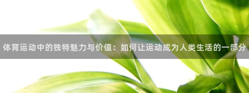 678体育知识：体育运动中的独特魅力与价值：如何让运动成为人类生活的一部分
