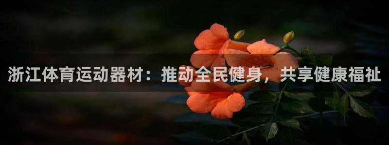 678体育知识：浙江体育运动器材：推动全民健身，共享健康福祉