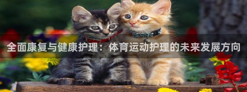 678体育app：全面康复与健康护理：体育运动护理的未来发展方向