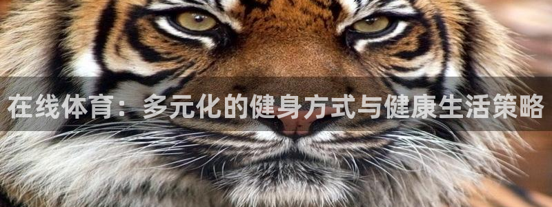 678体育：在线体育：多元化的健身方式与健康生活策略