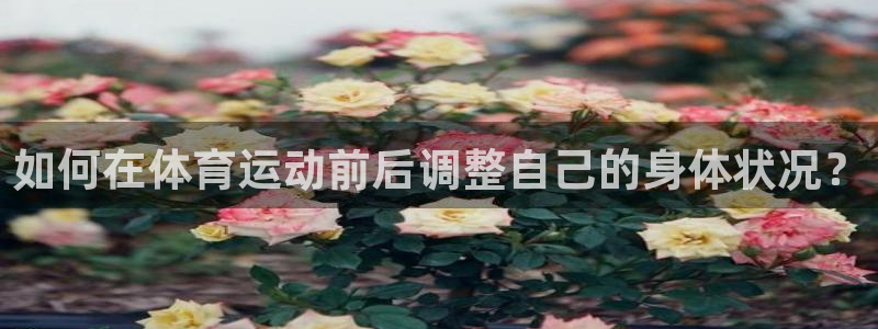 皇冠678体育：如何在体育运动前后调整自己的身体状况？