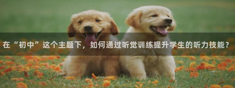 皇冠678体育：在“初中”这个主题下，如何通过听觉训练提升学生的听力技能？
