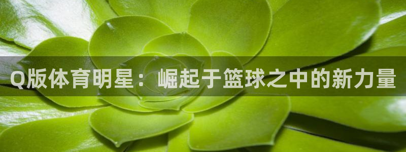 678体育app：Q版体育明星：崛起于篮球之中的新力量