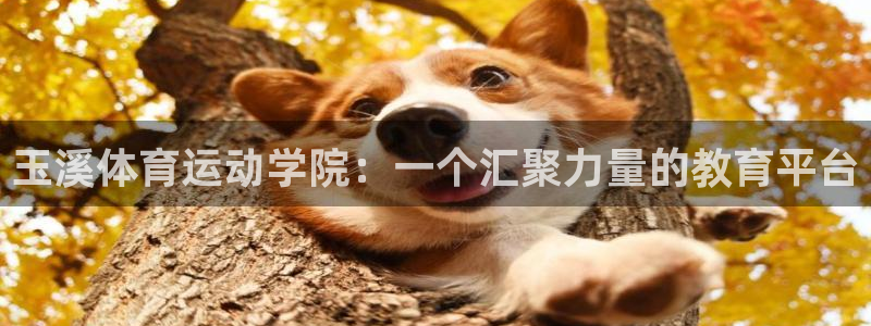 678体育官网下载：玉溪体育运动学院：一个汇聚力量的教育平台